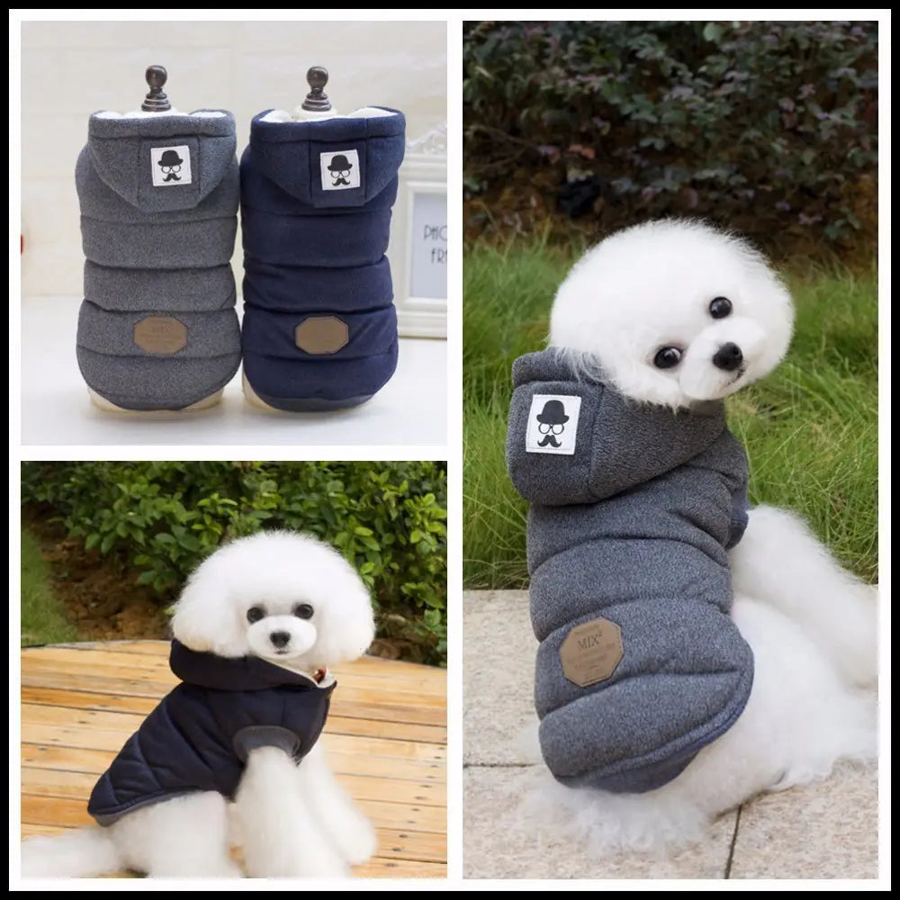 Pet Clothing – Autumn/Winter Cotton Outfit for Dogs